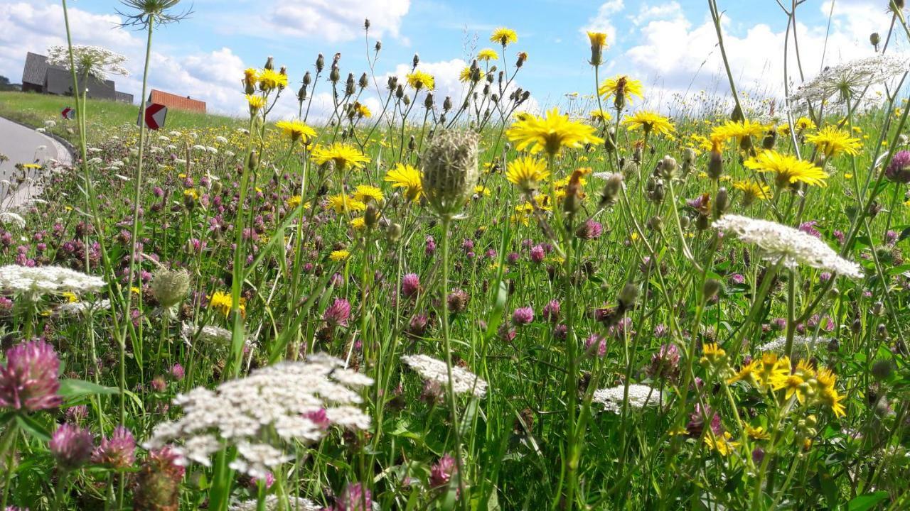 Gemütliches Häuschen im Alten Land Jork Exterior foto
